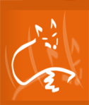 bývalé logo foxtimes